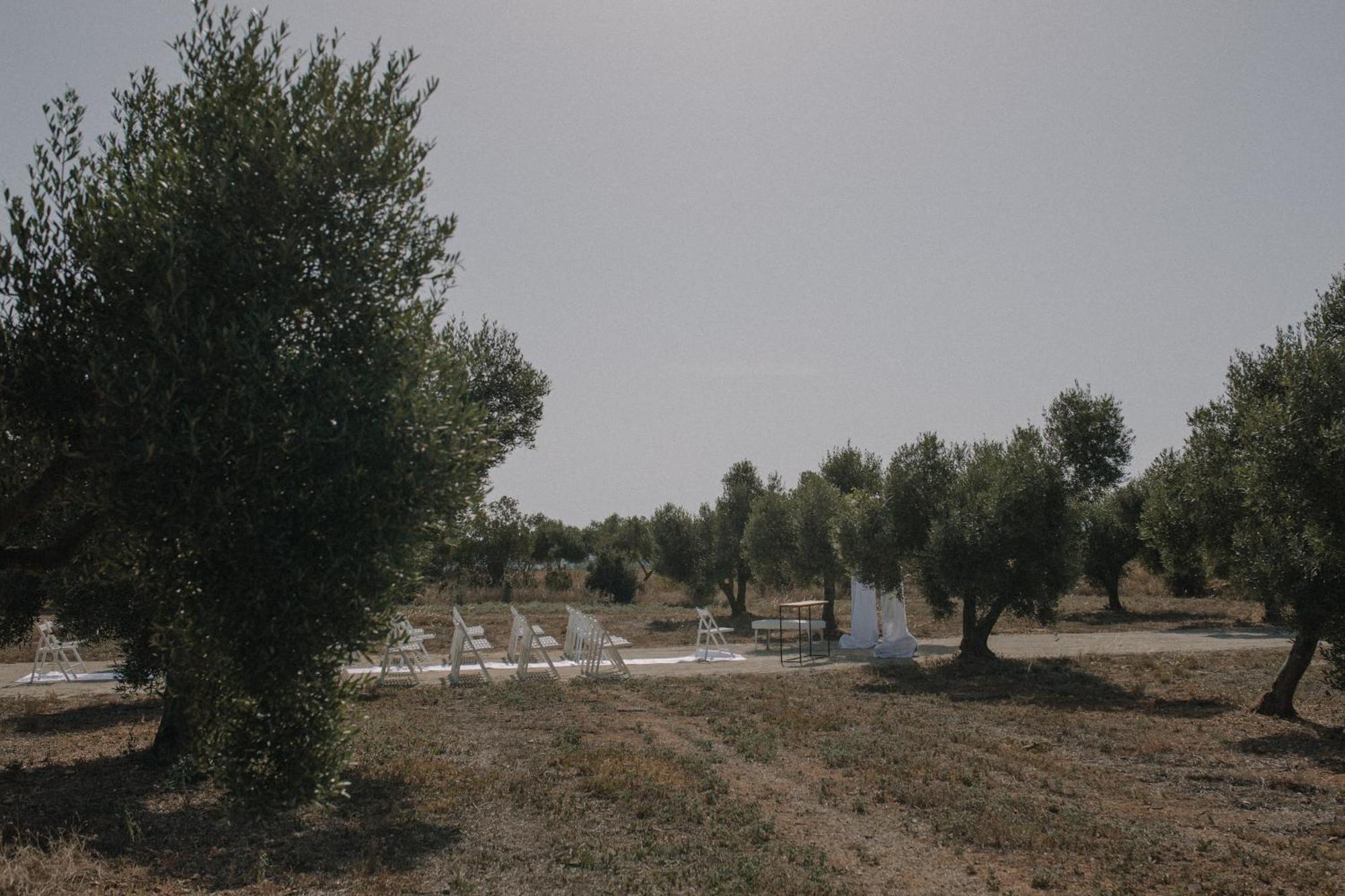 Finca La Concertista Llorenc del Penedes Dış mekan fotoğraf